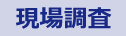 現地調査